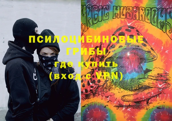 ПСИЛОЦИБИНОВЫЕ ГРИБЫ Куйбышев