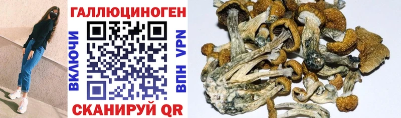 Галлюциногенные грибы GOLDEN TEACHER  Няндома 